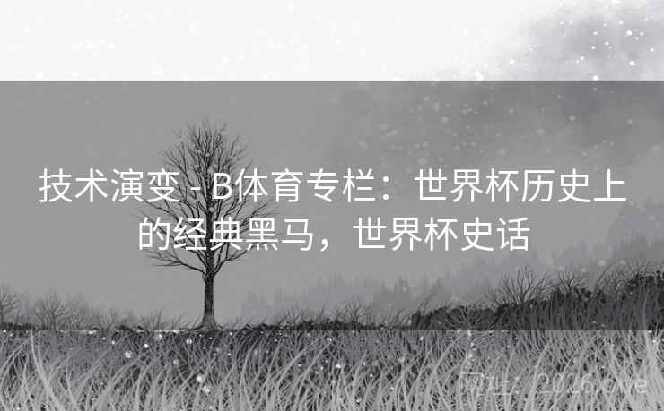 技术演变 - B体育专栏：世界杯历史上的经典黑马，世界杯史话