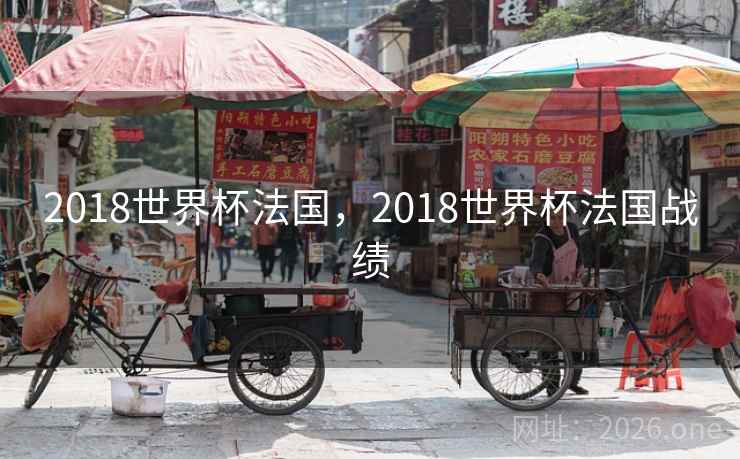 2018世界杯法国,2018世界杯法国战绩