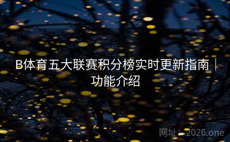 B体育五大联赛积分榜实时更新指南|功能介绍