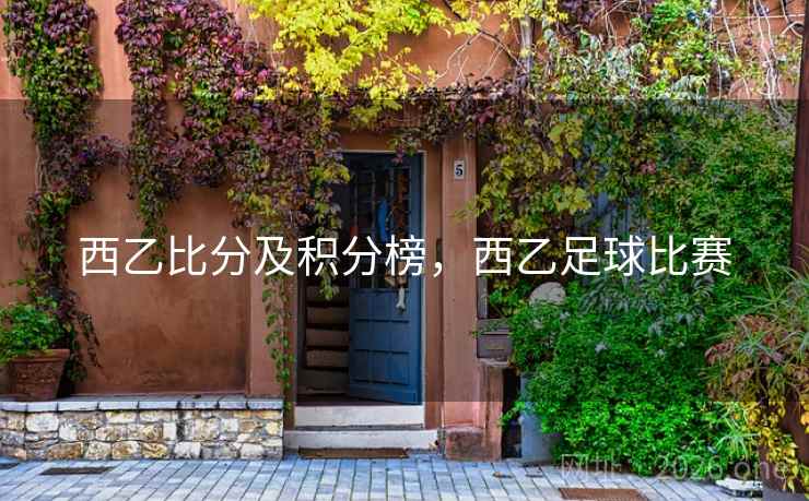 西乙比分及积分榜,西乙足球比赛