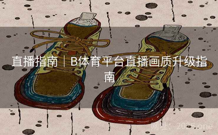 直播指南|B体育平台直播画质升级指南