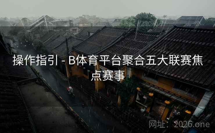 操作指引 - B体育平台聚合五大联赛焦点赛事