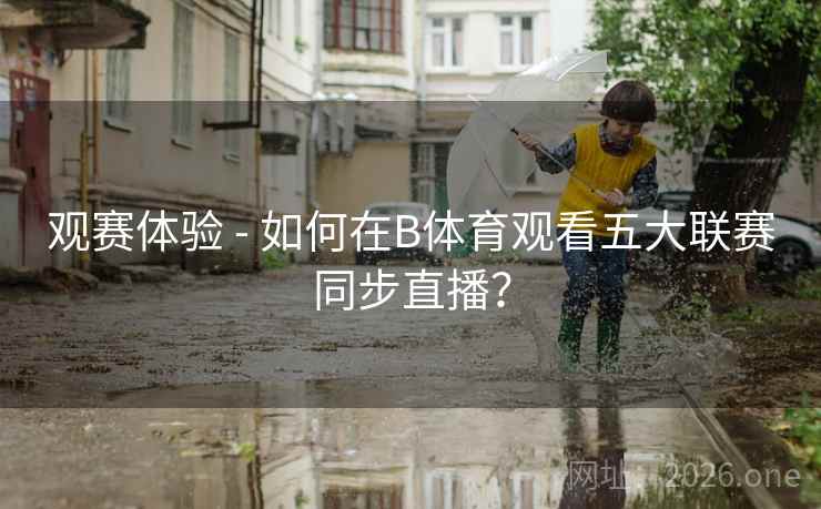 观赛体验 - 如何在B体育观看五大联赛同步直播?