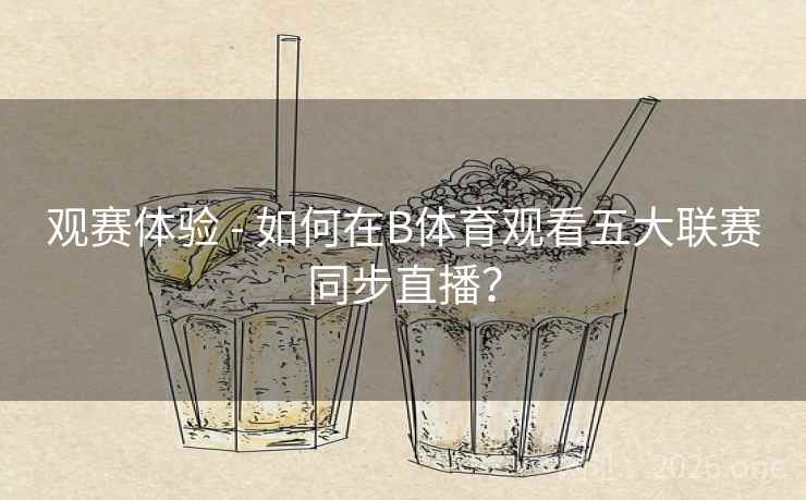 观赛体验 - 如何在B体育观看五大联赛同步直播？
