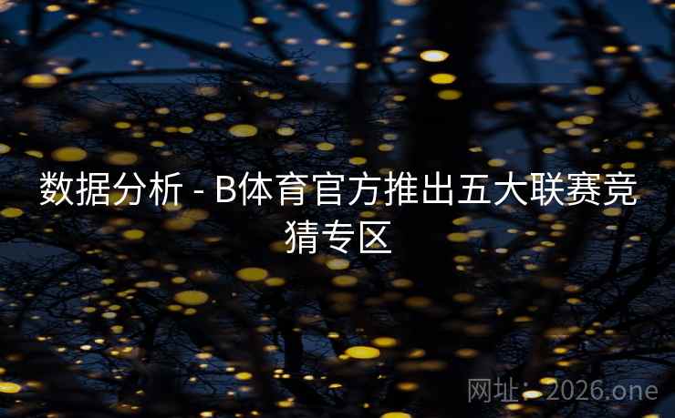 数据分析 - B体育官方推出五大联赛竞猜专区