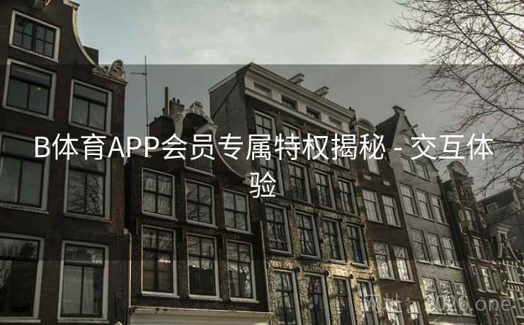 B体育APP会员专属特权揭秘 - 交互体验