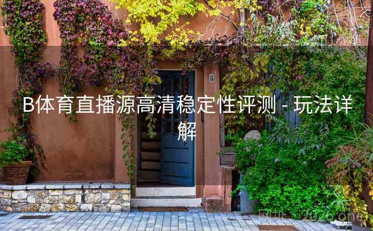 B体育直播源高清稳定性评测 - 玩法详解