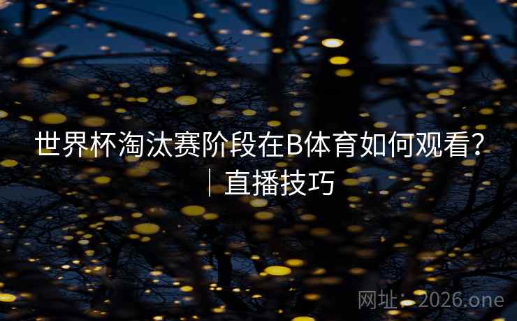 世界杯淘汰赛阶段在B体育如何观看？｜直播技巧