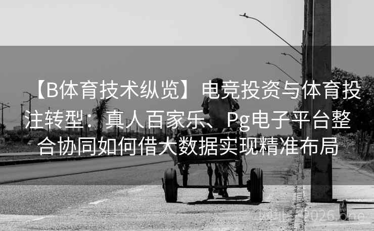 【B体育技术纵览】电竞投资与体育投注转型：真人百家乐、Pg电子平台整合协同如何借大数据实现精准布局