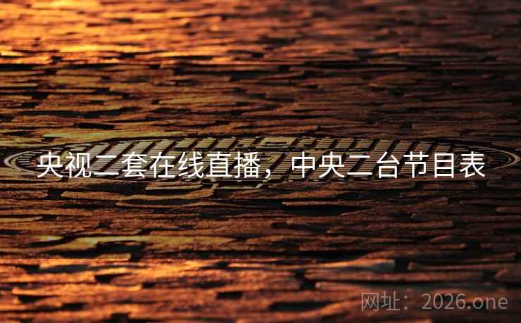 央视二套在线直播,中央二台节目表
